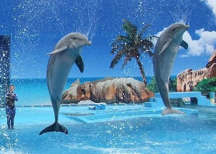 With 1 Bedroom L Albufeira