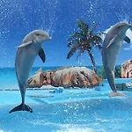 Lovely Apartment W 1 Bedroom And Garden View Albufeira